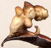 endophallus of Carabus exaratus