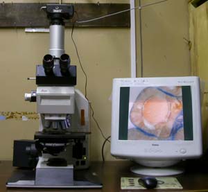 светооптический микроскоп Leica DMR IW с камерой Nikon Coolpix 4500