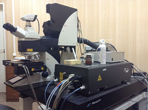 Конфокальный лазерный сканирующий микроскоп