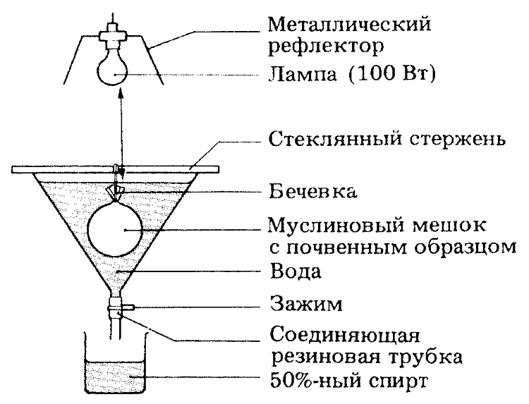 Планы плакетта бермана