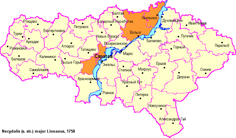 Карта романовка саратовская область