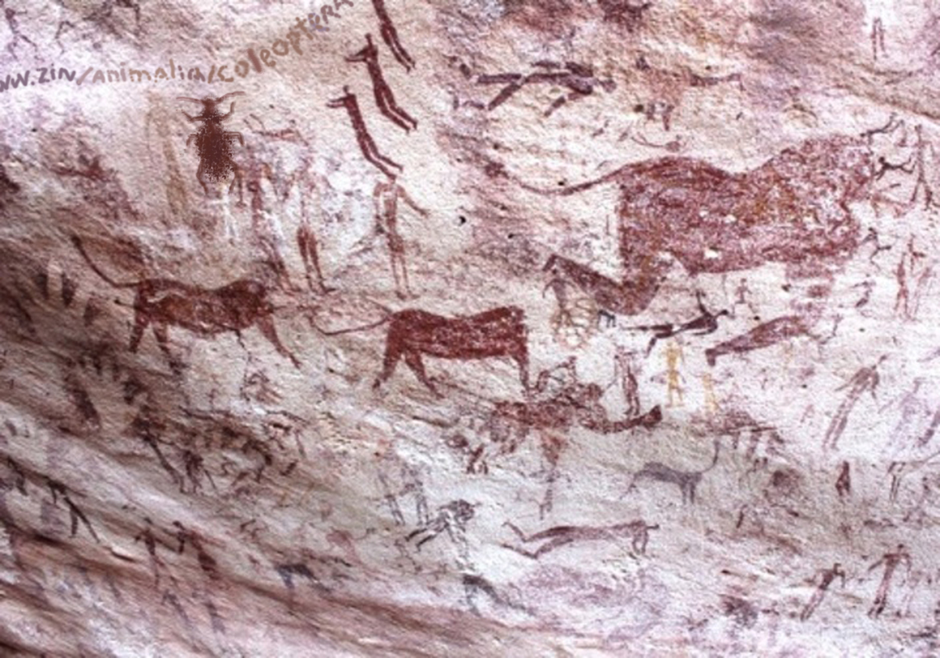 Пещера Ниах (наскальные рисунки)