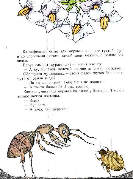 Приключение муравьишки бианки читать полный текст с картинками