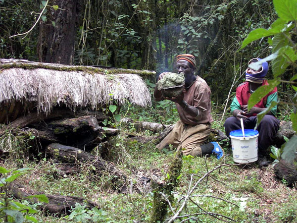 Cameroon picture 01