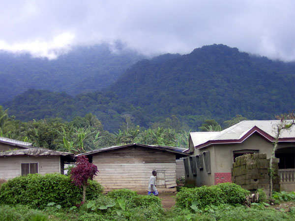 Cameroon picture 01