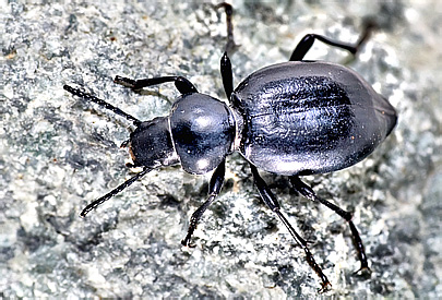 microd8884.jpg