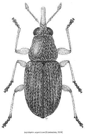 palcat7_002.jpg