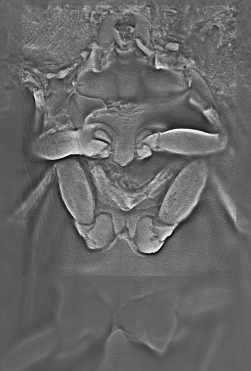 10_52018_07_09_lamina_72_105_M_F