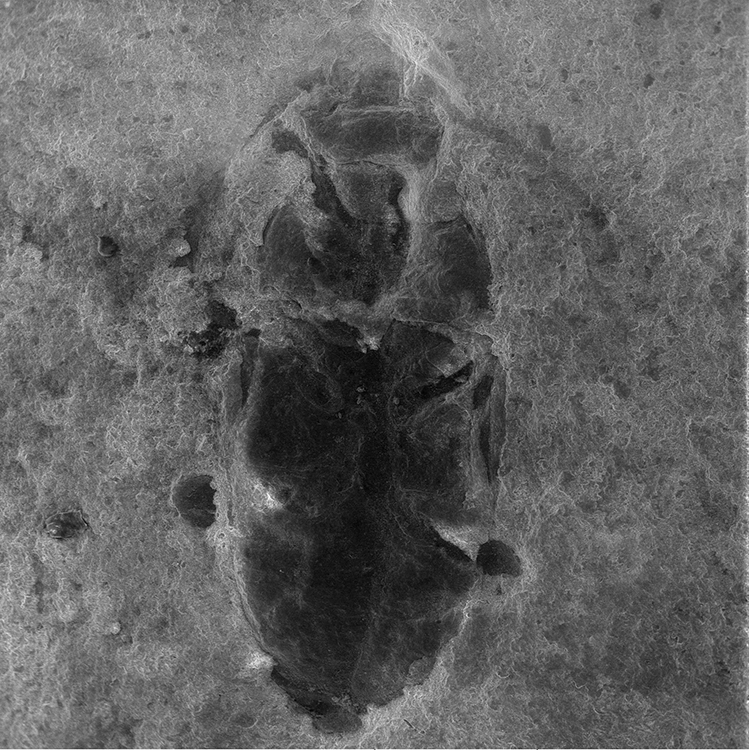 3_2010210_02