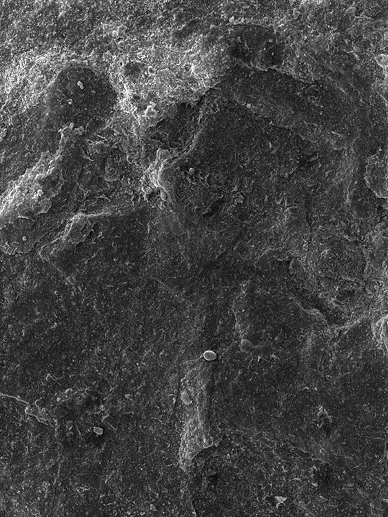 4_2010255_03