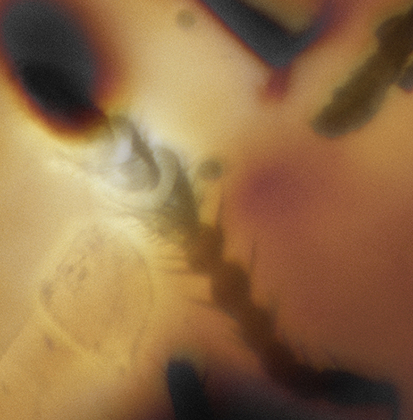 9_ant_exp_4_3_15A1_ser020_F