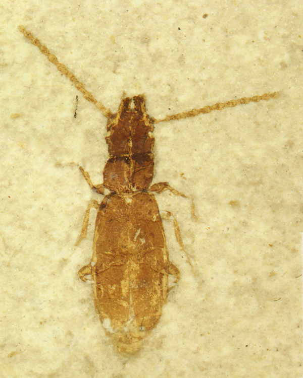 a08925