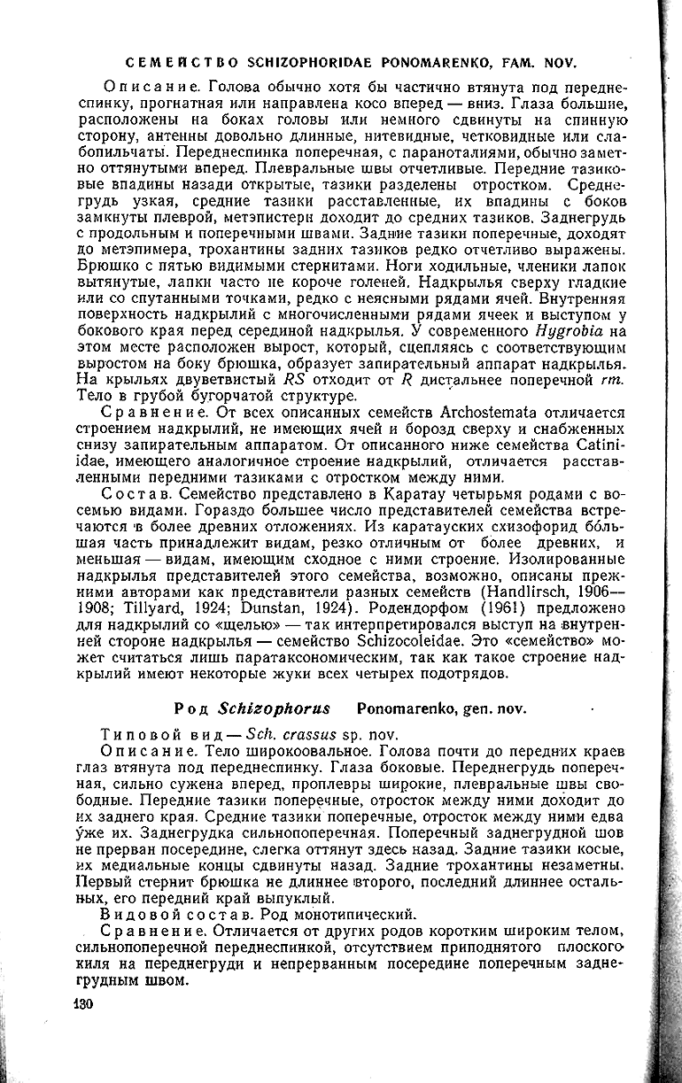 А.Г. Пономаренко: Жуки-архостематы юры Каратау (Coleoptera, Archostemata) -  стр. 130