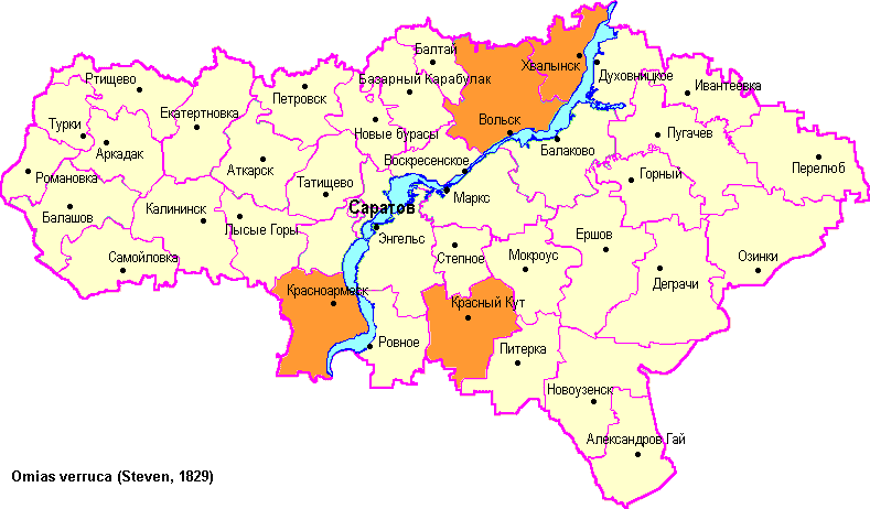 Карта саратовской области с кем граничит