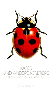 Насекомые жуки раскраска иллюстрация | Премиум векторы
