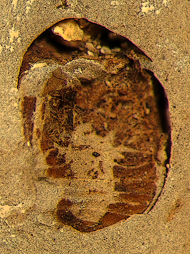 I_8595_Ni