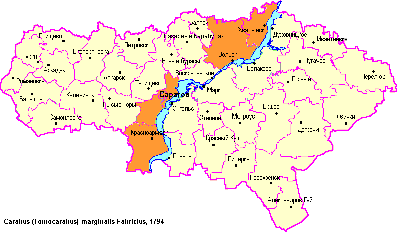 Саратовская область на карте. Карта Саратовской области. Деревня жуки Саратовская область на карте. Саратов карта области. Село жуки Саратовской области на карте.