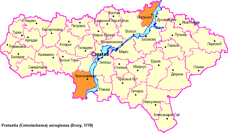 Карта саратовской области города петровска саратовской области