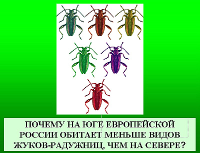 Уберечь себя в Арктике. Как спастись от сердечно-сосудистых болезней в высоких широтах - ТАСС