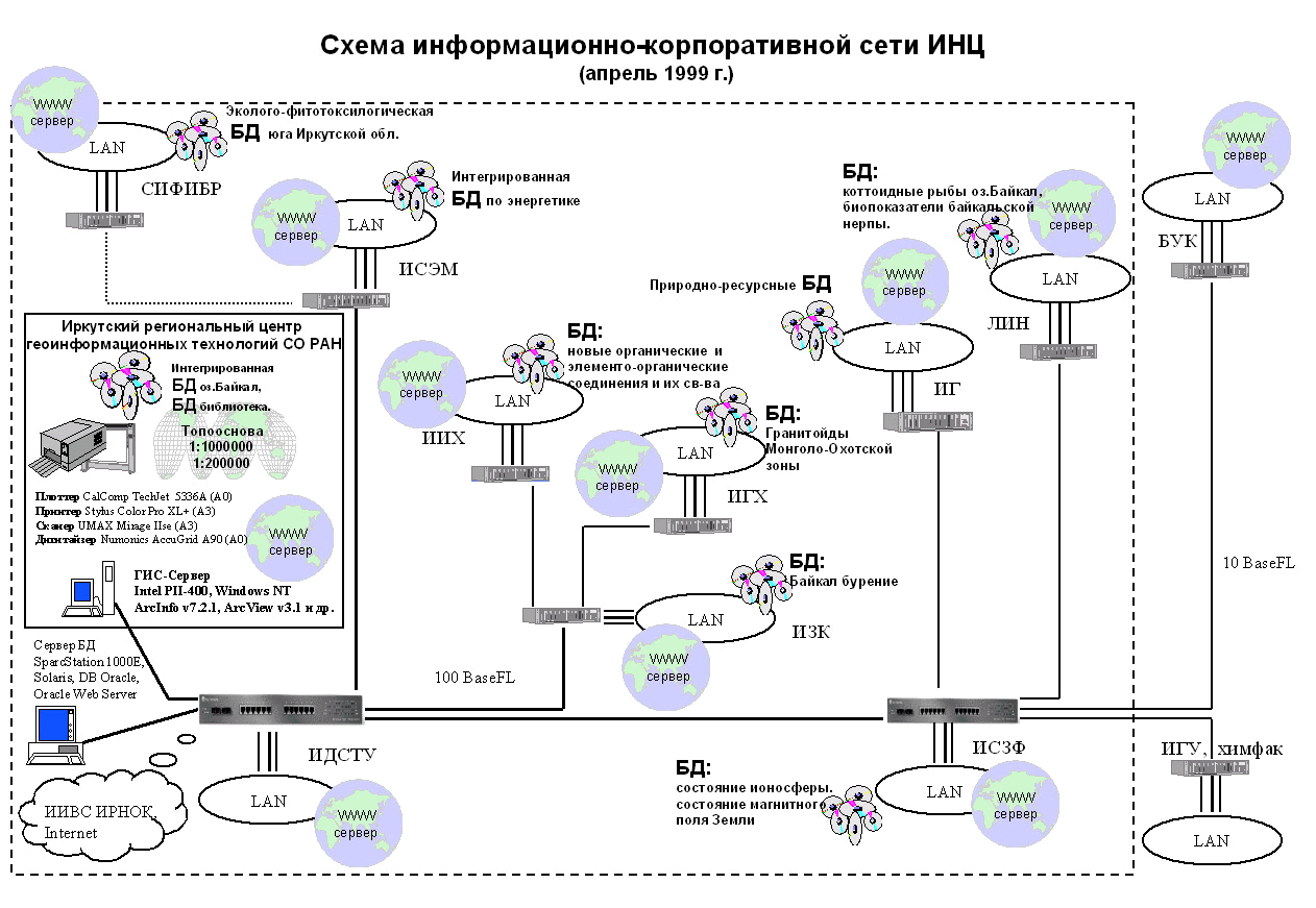 План описания экосистемы своей местности