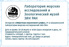 IV межмузейно-вузовский Фестиваль «В музей – сегодня, в науку – завтра!»