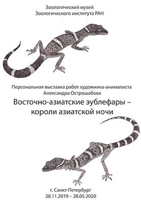 Восточно-азиатские эублефары – короли азиатской ночи