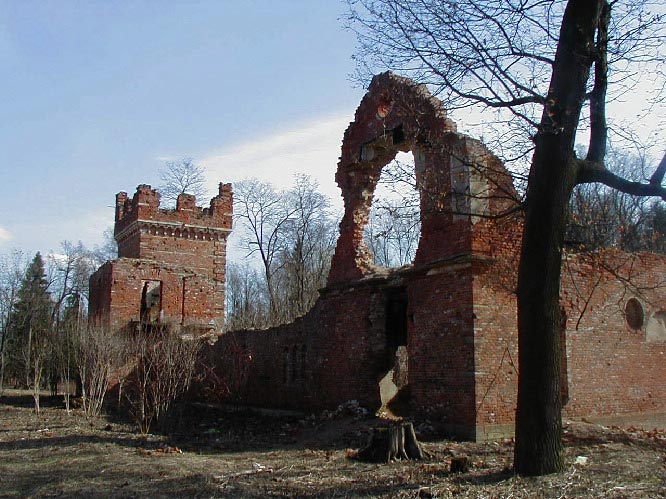 image5