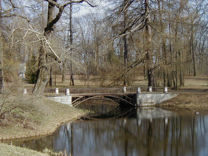 image6