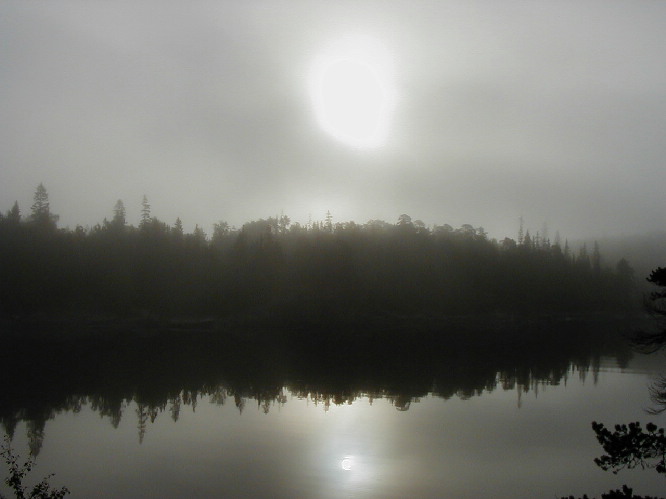image22