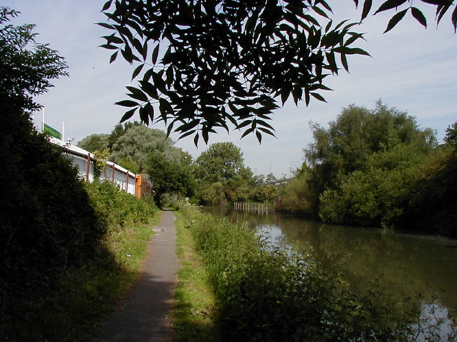 image6