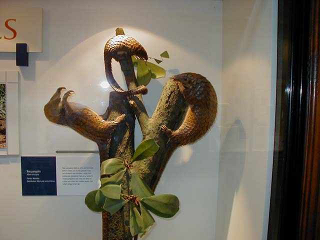 image10