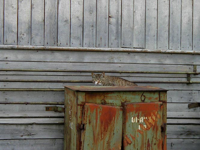 image6