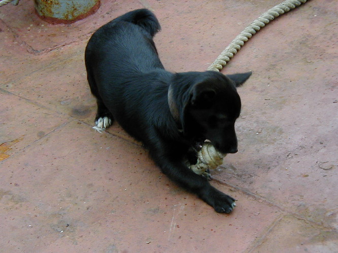 image7