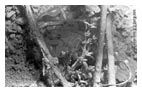 thumbnail6