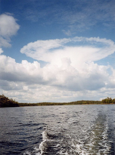 image6