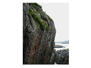 thumbnail28