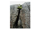 thumbnail29