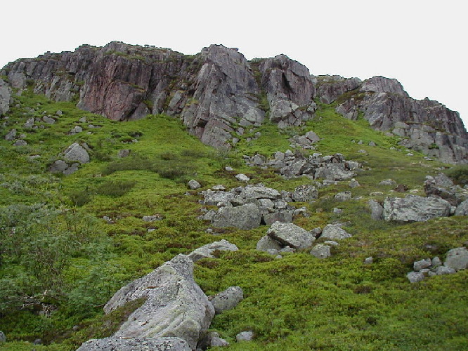 image8