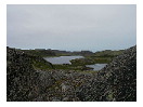 thumbnail6