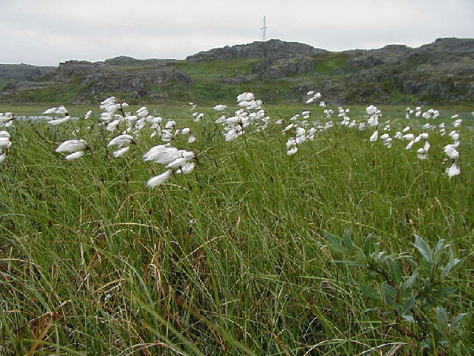 image11