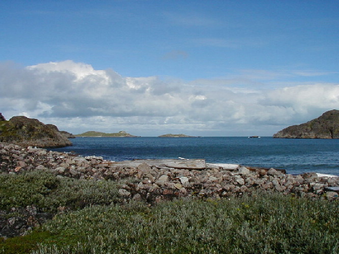 image12