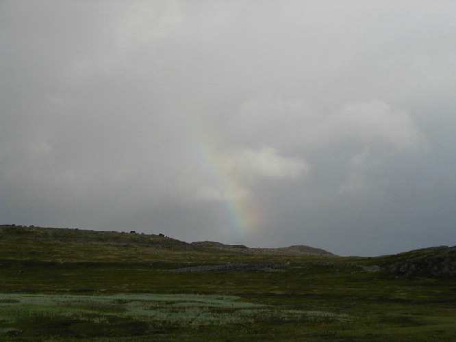 image13