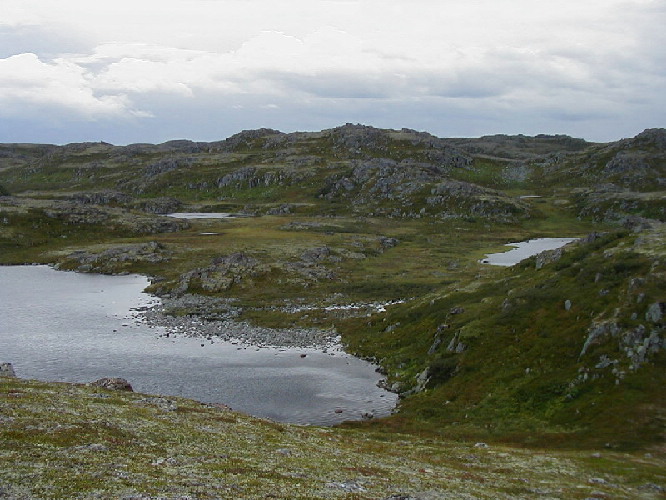image6
