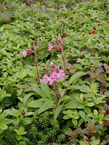 image5