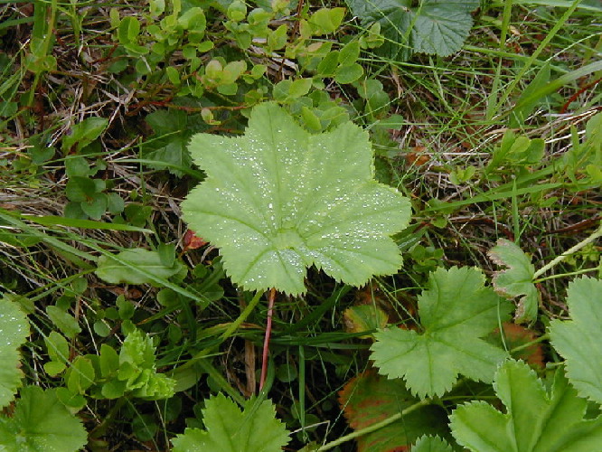 image6