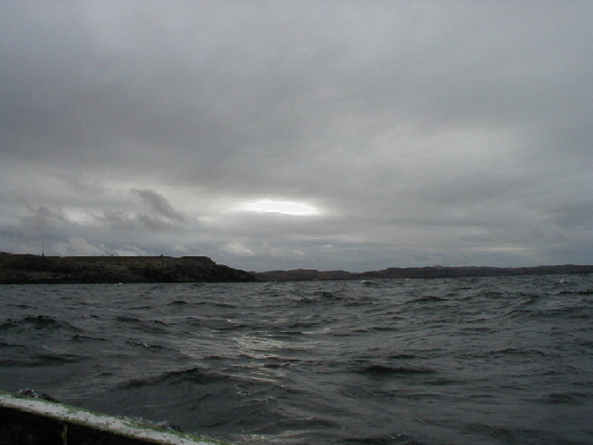 image8