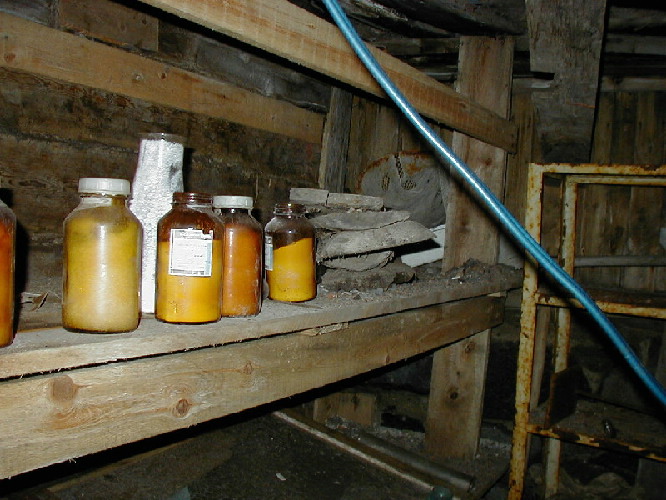 image19