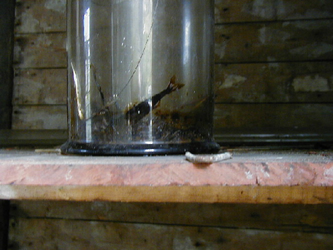 image22